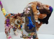 Soft Dog Commission 1 New York Soft Dog Commission 1 New York